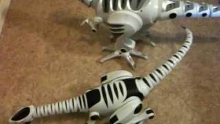 RoboRaptor amp RoboReptile Reviewed [upl. by Orutra]