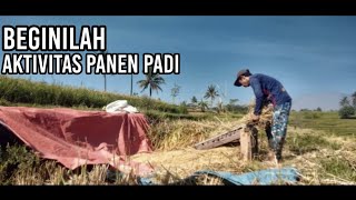 begini lah AKTIVITAS PNEN PADI LAGI 🌾 Garutlembur [upl. by Ressay]