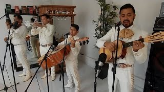 El Mariachi Alazán  Hermoso Cariño Vicente Fernández [upl. by Elkcim]