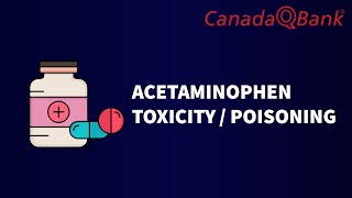 Acetaminophen Toxicity  Poisoning [upl. by Renaxela]