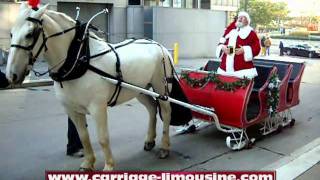 Horse Drawn Sleigh  Sleigh Rides 1  Carriage Limousine Service  Horse Drawn Carriages [upl. by Caldera951]