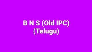 BNS Explained In Telugu [upl. by Ysirhc]