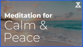 Guided Meditation for Peace and Calm 15 minute mindfulness practice [upl. by Pacifica684]