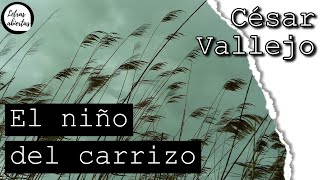 El niño del carrizo  César Vallejo Audiolibro [upl. by Noinatrad]