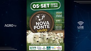 NOVA PONTE LEILÕES AO VIVO  NOVA PONTE MG [upl. by Stichter]