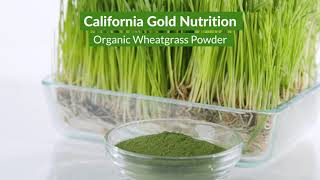 The Benefits of Wheatgrass Powder  iHerb [upl. by Etteluap]