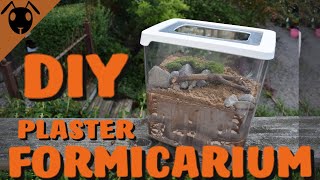 How to make a Plaster FORMICARIUM Tutorial [upl. by Clorinde88]