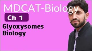 MDCAT Biology Ch 1  Glyoxysomes Biology  MDCAT Biology 2022 [upl. by Yahska]