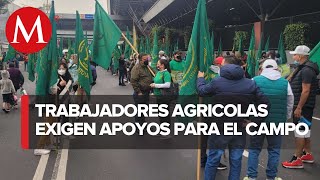 Protestan trabajadores agrícolas en calzada San Antonio Abad piden apoyos para el campo [upl. by Nereus]