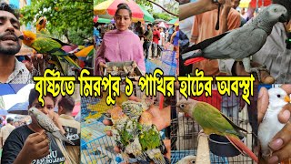 বৃষ্টিতে জমেনি মিরপুর ১ পাখির হাট  mirpur 1 pakhir hat [upl. by Ruon]