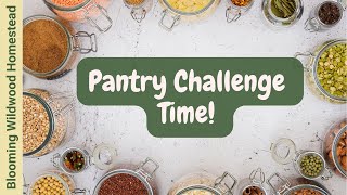 Pantry Challenge Time 5 Reasons to Join [upl. by Etteiluj472]