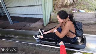 TOBOGGAN RIDE at Toboggan Hill Park Port Stephens [upl. by Ettezoj]