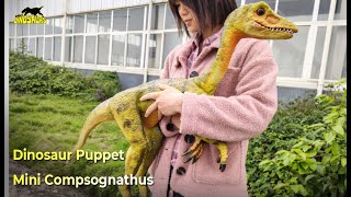 Dinosaur Puppet Realistic Mini Compsognathus for kids  Puppets [upl. by Ruyam]