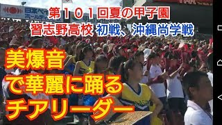 【第１０１回夏の甲子園】習志野高校 初戦 美爆音‼チアリーダーメインCheerleaderJapanの動画です。 [upl. by Ahselyt]