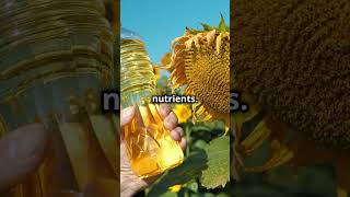 Safflower Oil Health Benefits or Hype [upl. by Hu881]