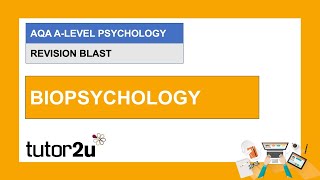 Biopsychology  AQA Psychology in 27 MINS NEW Quick Revision for Paper 2 [upl. by Kinsley393]