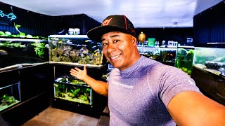 Can You INSTANT CYCLE a Fish Tank Viewer Questions Answered [upl. by Twum556]