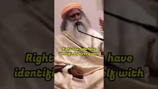 What is Enlightenment sadhguru [upl. by Anaitak]