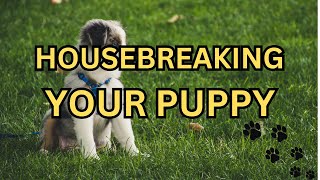 Housebreak your puppy in less than 14 days [upl. by Ades361]