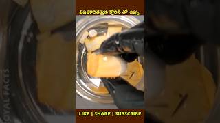 What happens If we combine🍚shortvideo youtubeshorts factsintelugu [upl. by Ennaitak]