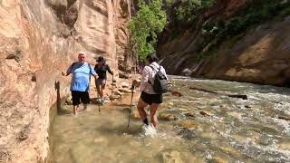 Experience The Zion Narrows SelfGuided Hiking Tips hiking [upl. by Anthiathia377]