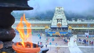 Lord Balaji Whatsapp Status  Lord Venkateswara Whatsapp Status  వేంకటేశ్వరుడు [upl. by Jocelyn]