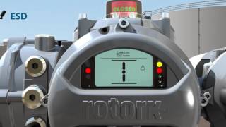 Introduction to Rotork Skilmatic Actuators [upl. by Aihsemak]