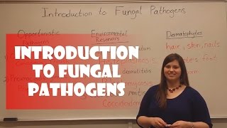 Introduction to Fungal Pathogens [upl. by Nemad]