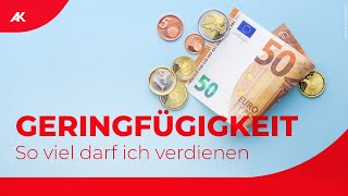 Geringfügige Beschäftigung in Österreich  Grenze Stunden amp Urlaub [upl. by Eilsil]