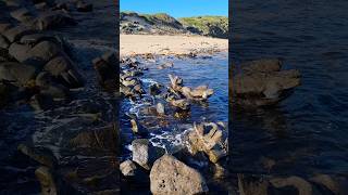 Kilcunda Beach  Victoria Australia rockycliff beach sand travel hike [upl. by Oimetra]