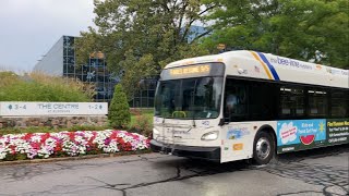 BeeLine Bus  Route 3 Bus Leaving The Centre At Purchase 💙 [upl. by Imoyn425]