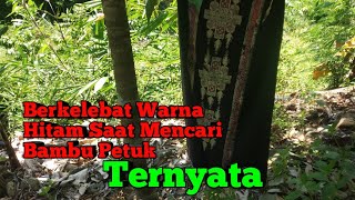 Ada Sosok Berkelebat Hitam Di Saat Mencari Bambu Petuk [upl. by Seftton]