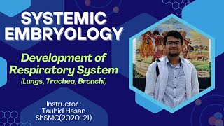 Development of Respiratory System with Clinical Anomalies  Hand drawn Visualization in Bangla [upl. by Waterman]