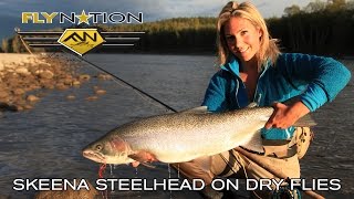 Fly Nation Skeena Steelhead on Dry Flies [upl. by Lazar]