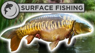 The Best Rig For Surface Carp Fishing very effective [upl. by Custer]