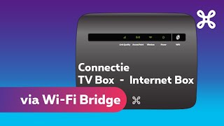 Je TV Box via een WiFi Bridge verbinden met je modem [upl. by Illa]