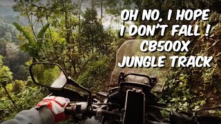 i hope i dont fall  But she can go anywhere  Honda CB500X jungle track [upl. by Nylidam311]