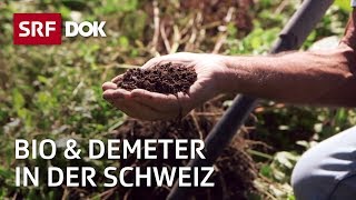 Bio und Demeter in der Schweiz – Spurensuche zu den Anfängen der ÖkoLandbaus  Doku  SRF Dok [upl. by Tuesday]