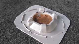 Raid Ant Bait Station  Deconstructed  Whats Inside Does it Work Well [upl. by Clintock]