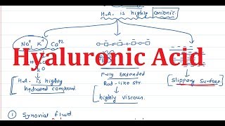 24 Hyaluronic Acid amp Hyaluronidase [upl. by Willow]