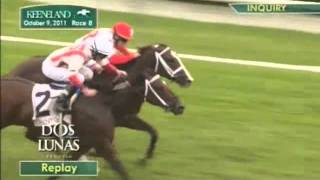 Horse Jumps Into Rail  2011 Bourbon Stakes [upl. by Del]