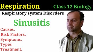 Sinusitis Class 12 Biology  Pathophysiology Causes Symptoms and Treatment [upl. by Kimberlyn]