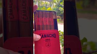 🔥CAMACHO CIGAR 💨🚬localleisure camacho cigarexperience cigartime cigarshow [upl. by Anastas749]