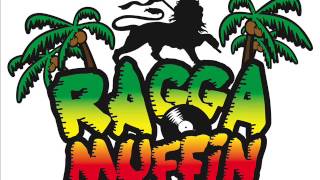 Dj Greg Enchainé Ragga Muffin Vol 2 Ancien [upl. by Iturhs]