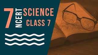 Class 7 Science Chapter 6 Physical and Chemical Changes [upl. by Ybok704]