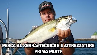 Pesce SERRA a spinning la pesca i comportamenti le attrezzature PRIMA PARTE [upl. by Leeban]