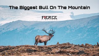 The Biggest Bull On The Mountain  A Utah Limited Entry Elk Hunt [upl. by Dela]