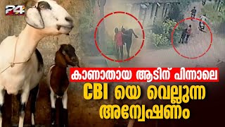 ആട് മോഷണ സംഘത്തെ പിടികൂടാൻ അബ്ബാസ്സും കുടുംബവും സഞ്ചരിച്ചത് രണ്ടായിരം കിലോമീറ്റർ [upl. by Mercedes261]