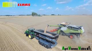 CLAAS 780 TT amp coupe 12m  Moisson de blé 2017   TEST [upl. by Schapira]