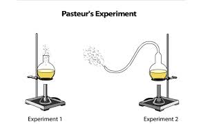 Pasteurs Experiment [upl. by Imim]